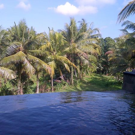 Dewa House Bisma Hotel Ubud Exterior foto