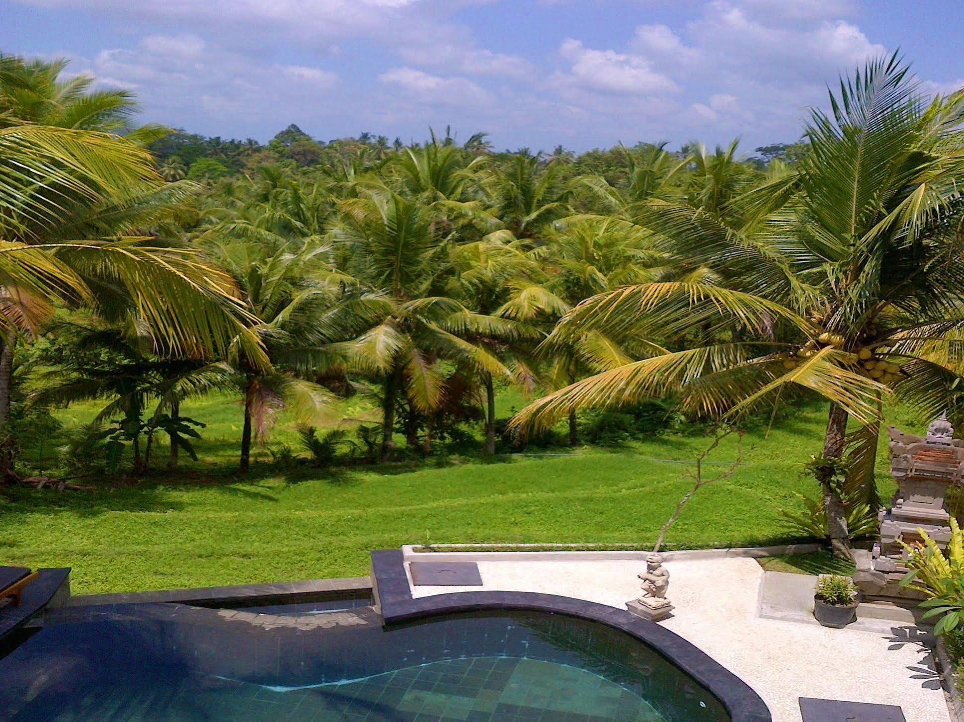 Dewa House Bisma Hotel Ubud Exterior foto